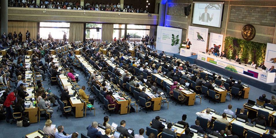 plenary_iisd_960