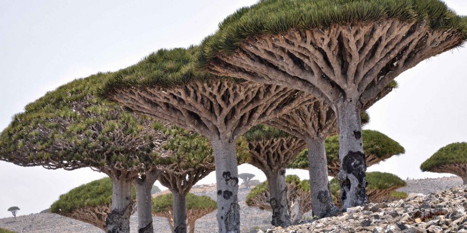 13510116894_3e2b2f2bd3_b