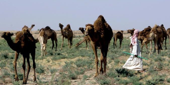 Iraq_Environment_ISIS_2_GettyImages-147510864.adapt.676.1