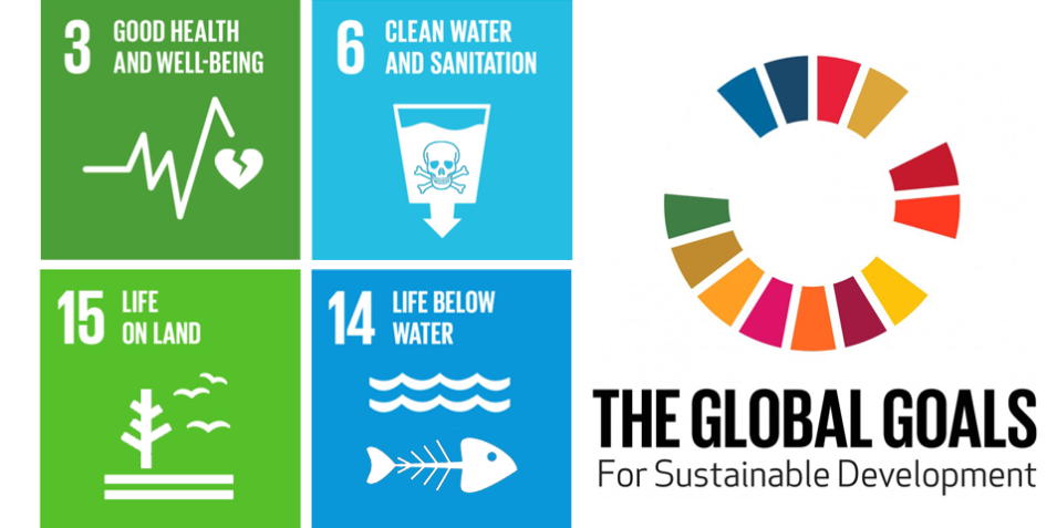 SDGs_conflict_environmen_2