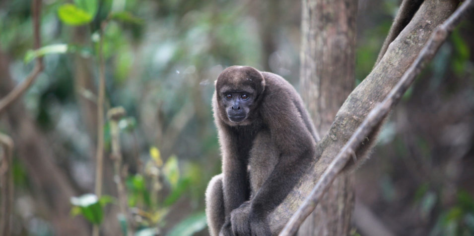 colombia_0798