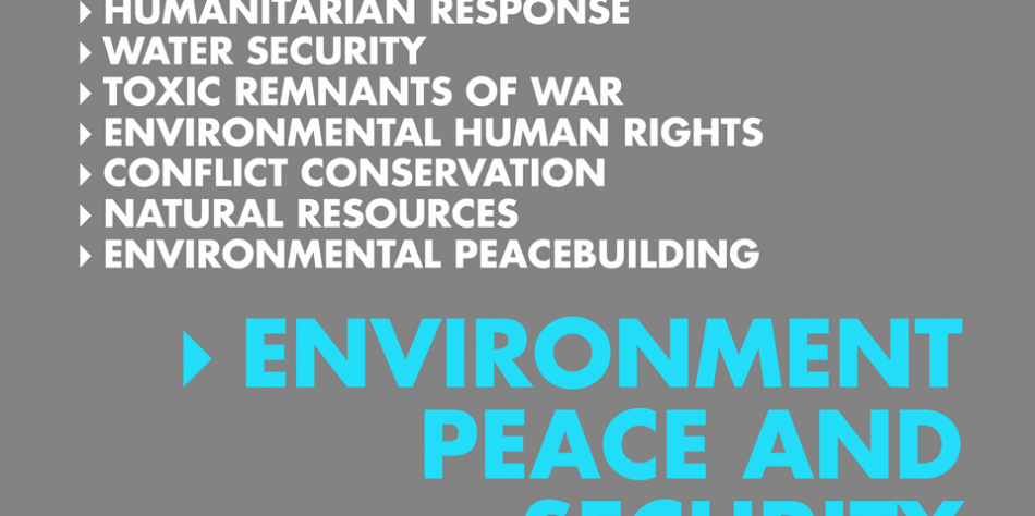 environment_peace_security-950×633