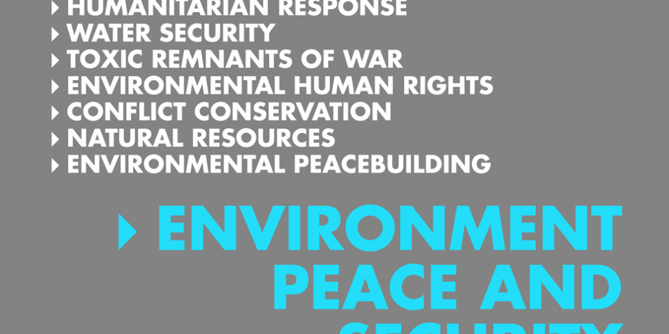 environment_peace_security-950×633