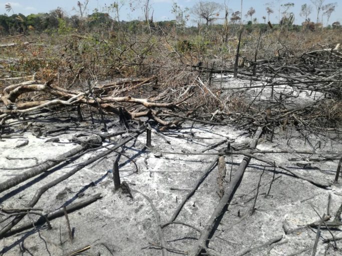 Deforestation in Colombia