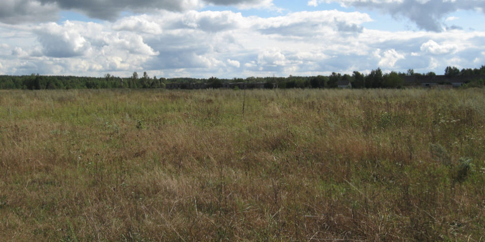 sm_Kropyvnya_Zhytomyrska_oblast_Ukraine_12111
