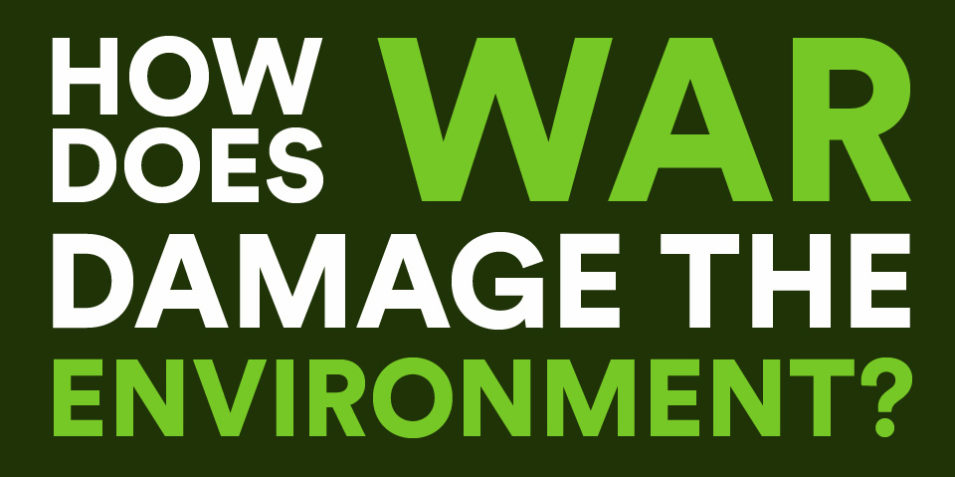 how_does_war_damage_the_environment
