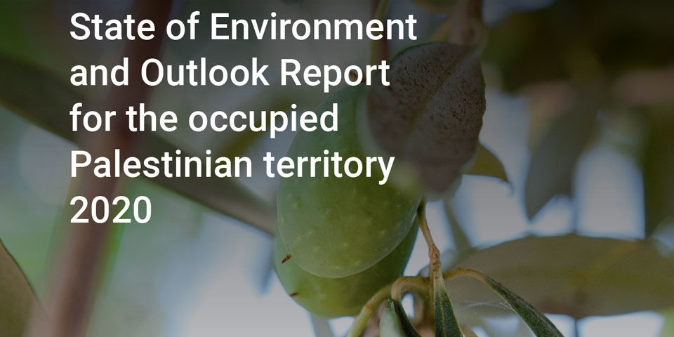 unep_palestine_outlook