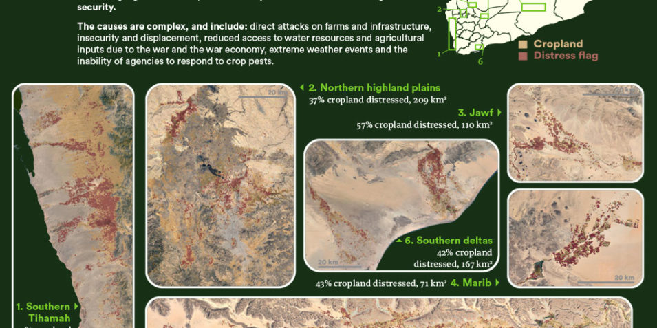 CEOBS_yemens_agriculture_in_distress_2020