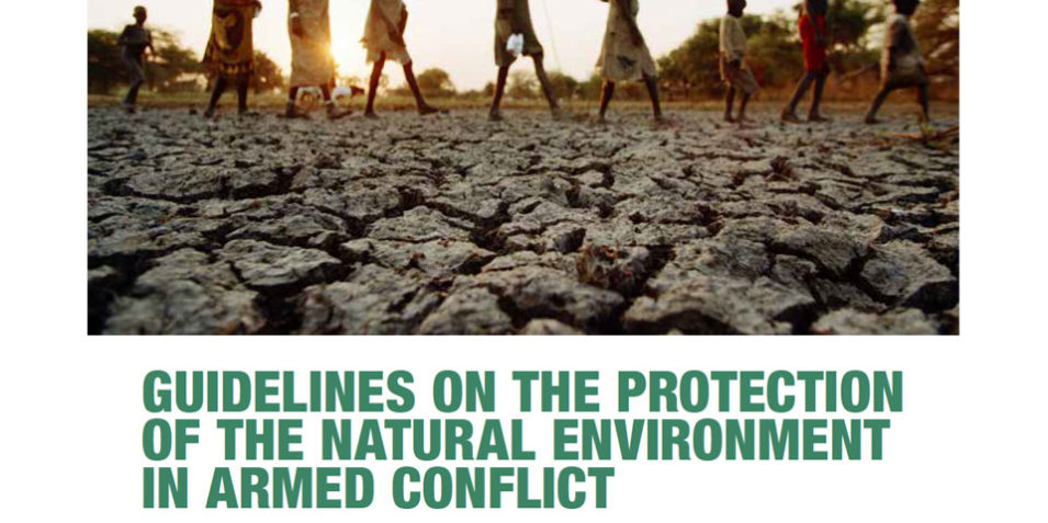icrc_guidelines_cov_960
