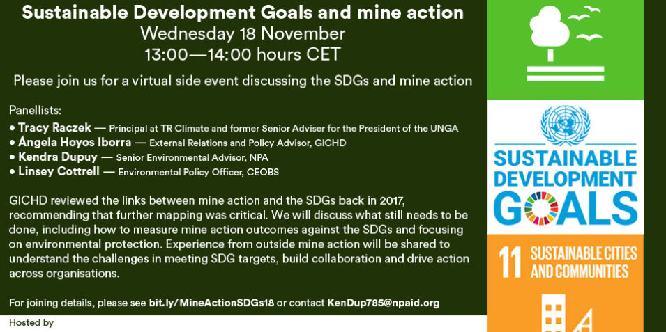 Npa_ceobs_18msp_sdgs_side_event_181120_