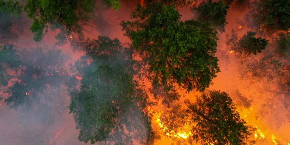 siberia_fires