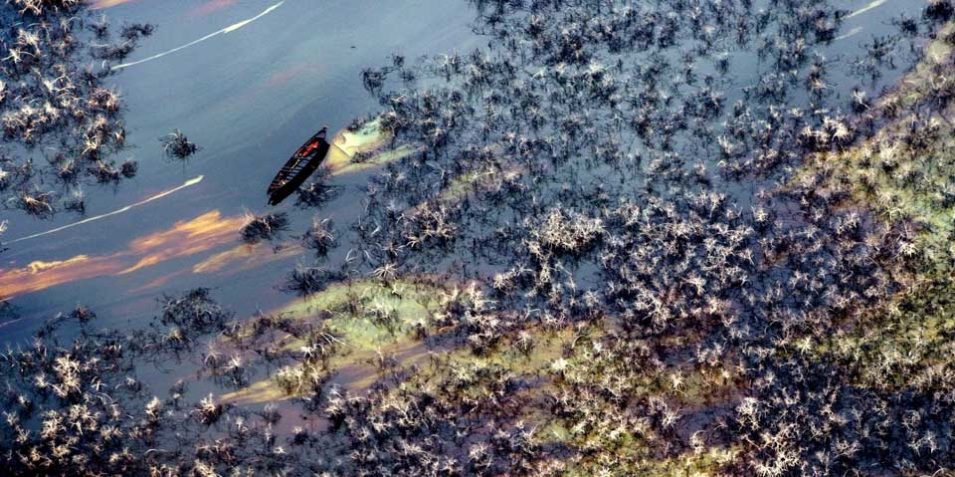 oil_niger_unep_960