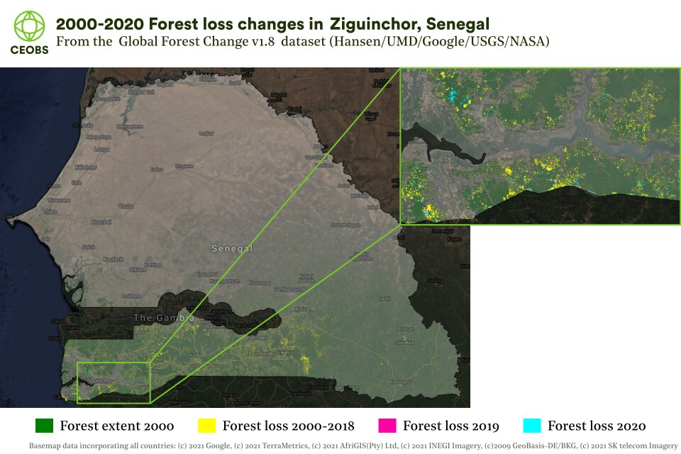 Deforestation In Conflict Areas In Ceobs