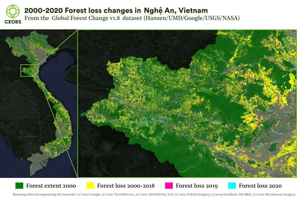 Deforestation In Conflict Areas In Ceobs