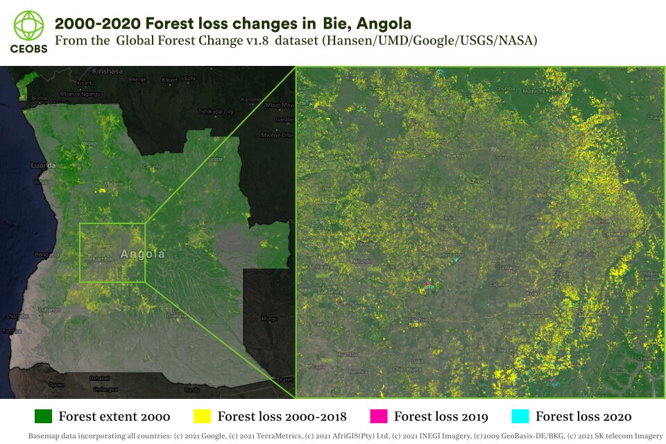 The drivers and impacts of  forest degradation