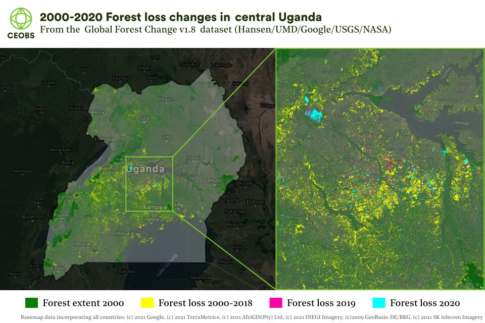 Ten countries of the world with the worst Deforestation rate of