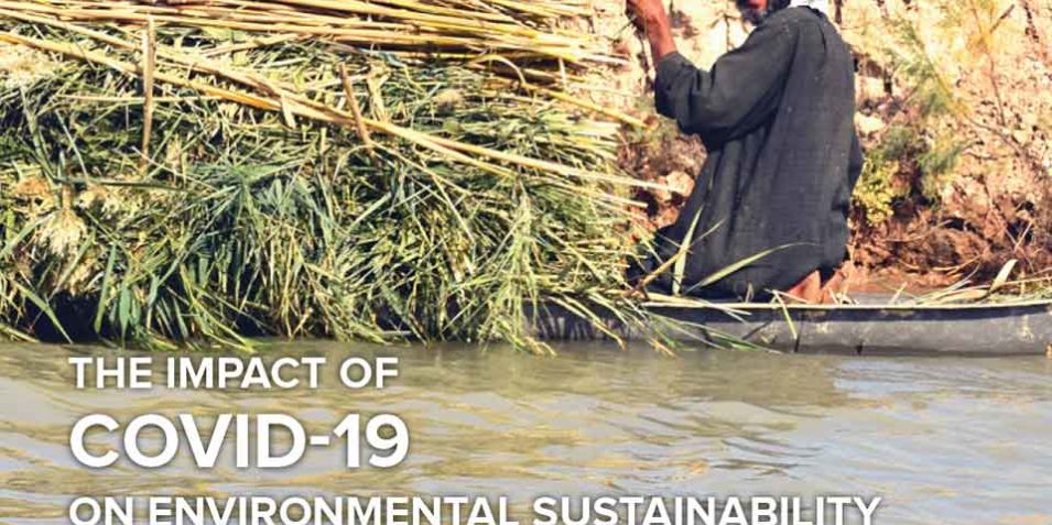 undp_covid_iraq