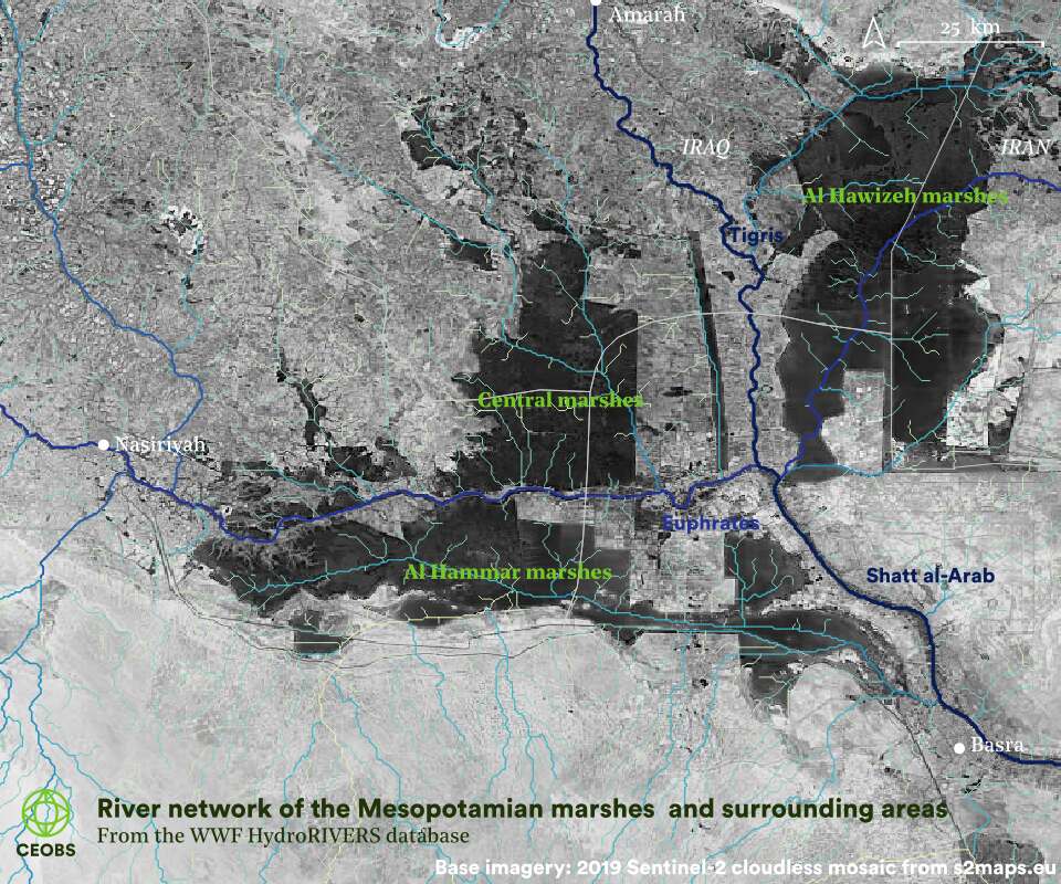 main_marshes_hybas main_marshes_hybas
