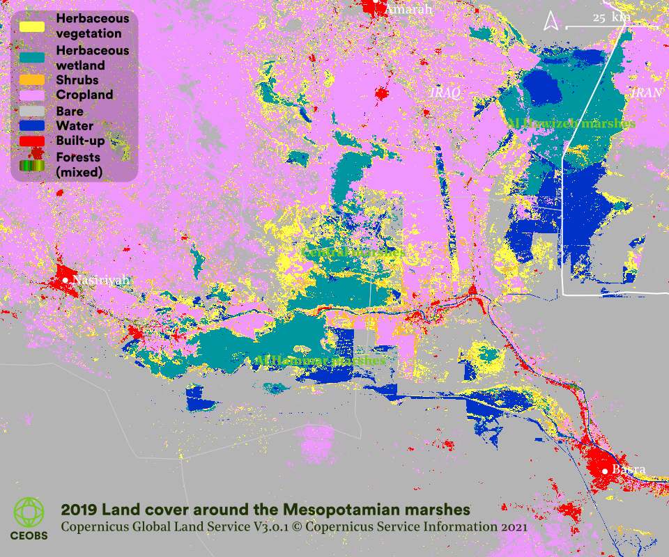 main_marshes_landuse main_marshes_landuse