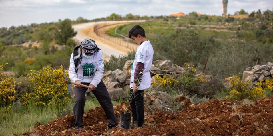planting_above_barrier_960
