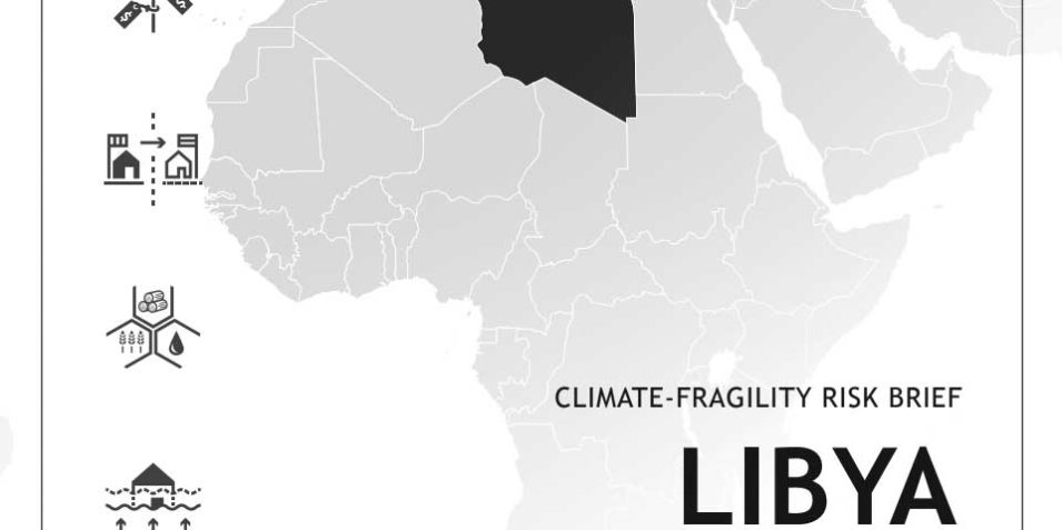 libiya_fragility