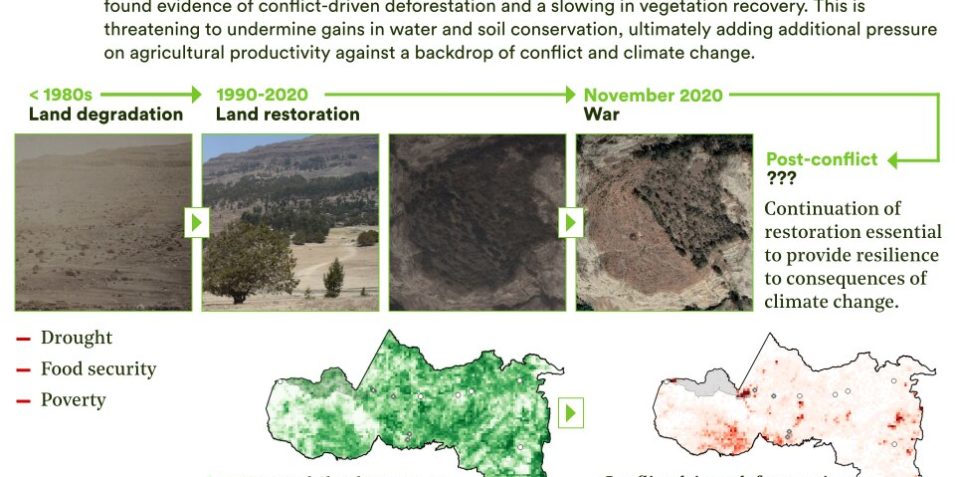 Tigray’s Landscape Restoration Threatened This summary figure gives an overview of the study and is titled “Tigray’s landscape restoration threatened” and accompanied by the descriptive text “Since the 1990s, Tigray, a region in Ethiopia, has been undergoing a successful landscape restoration, helping provide food security and other ecosystem services. Our research suggests these gains are threatened by the ongoing conflict. Using satellite data to cut through the information blackout, we found evidence of conflict-driven deforestation and a slowing in vegetation recovery. This is threatening to undermine gains in water and soil conservation, ultimately adding additional pressure on agricultural productivity against a backdrop of conflict and climate change.” This text tells the story of the visualisation below, which is a timeline with four epochs: before the 1980’s ‘land degradation’, 1990-2020 ‘land restoration’, November 2020 ‘war’, and post-conflict ‘?’. There are photographs of a degraded and restored landscape, satellite imagery of deforestation since the start of the war, and two map graphics – one showing the density of woody vegetation coverage pre-conflict, and another showing the hotspots of woody vegetation loss since the start of the conflict.