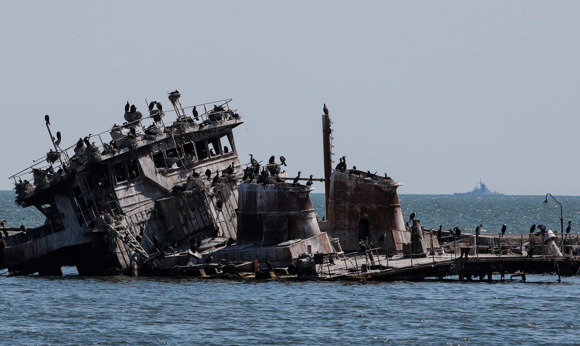 Ukraine conflict environmental briefing: The coastal and marine environment  - CEOBS