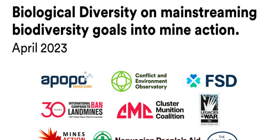logo_title__cbd_mine_action_statement_0423