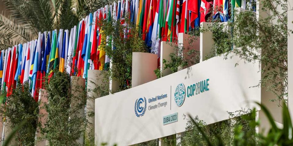 53365691971_c13d21f2c6_o_960 Flags from many countries hang above a sign for COP28 Dubai.