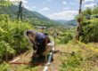 An NPA deminer crouches down amidst tall vegetation and explores are marked off area of soil with a tool.