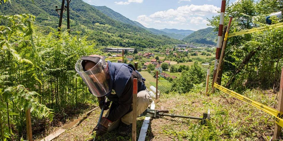 npa_clear_veg_960 An NPA deminer crouches down amidst tall vegetation and explores are marked off area of soil with a tool.