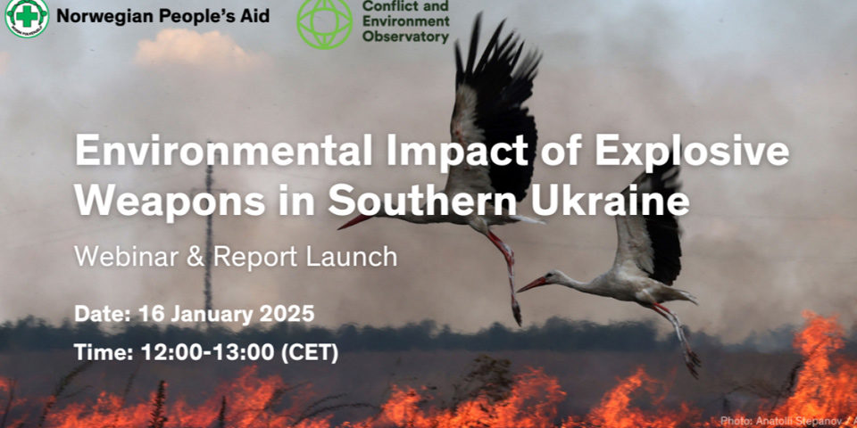 EW_env_Ukr_960 Two storks fly above burning cropland, thin smoke and a heat haze obscures the sky while flames are visible ust below the two birds as they take off.