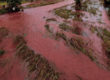 Photo looking down on a swollen and braided river channel, the water in teh channels is bright red, in contrast to the green grass they have partly inundated.