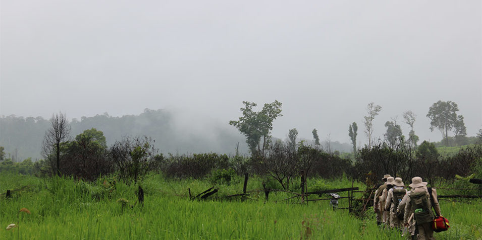 Mine_action_mist_NPA_960 In this moody image from Cambodia, six beige uniformed mine action staff walk in single file into a tropical landscape, to their left are lush green grasses, they walk towards a low treeline while in the distance a low wooded hillside is wreathed in mist.