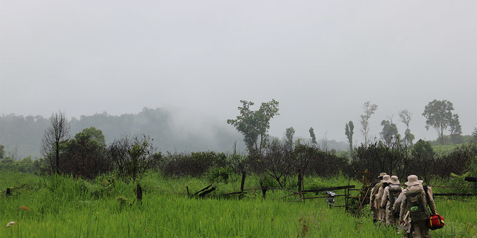 Mine_action_mist_NPA_960 In this moody image from Cambodia, six beige uniformed mine action staff walk in single file into a tropical landscape, to their left are lush green grasses, they walk towards a low treeline while in the distance a low wooded hillside is wreathed in mist.