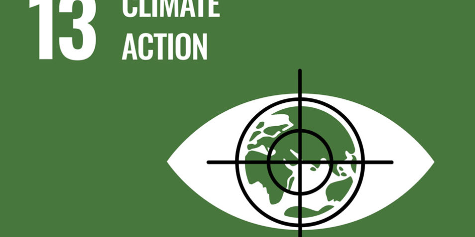 SDG13_military_highlight_960 The SDG 13 logo of a white eye on a green background, the pupil is the earth with the continents outlined, on top of this a black crosshairs has been placed.