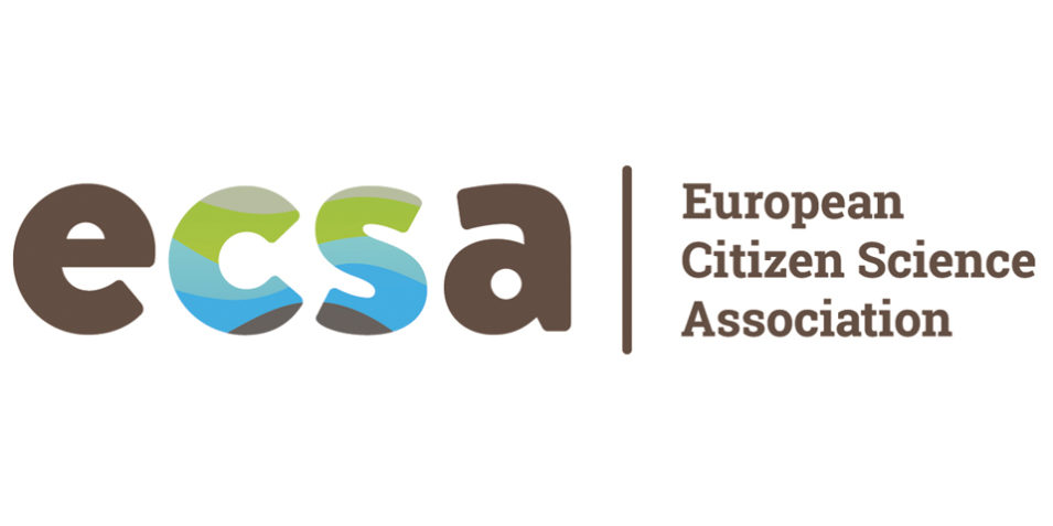ecsa_9560 ECSA logo