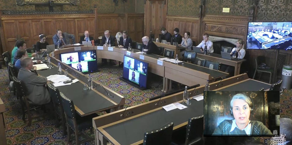 Committee-room-with-inset_960 A wood-paneled parliamentary committee room, in which 10 people are seated in discussion around a large U-shaped table. Behind them to one side are five more people at two smaller tables. In the centre of the U, two large screens display three remote participants in the meeting. One of the women participants is also shown speaking in an inset in the corner of the image.