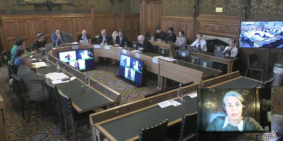 Committee-room-with-inset_960 A wood-paneled parliamentary committee room, in which 10 people are seated in discussion around a large U-shaped table. Behind them to one side are five more people at two smaller tables. In the centre of the U, two large screens display three remote participants in the meeting. One of the women participants is also shown speaking in an inset in the corner of the image.