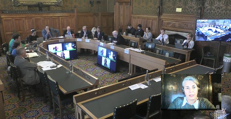 A wood-paneled parliamentary committee room, in which 10 people are seated in discussion around a large U-shaped table. Behind them to one side are five more people at two smaller tables. In the centre of the U, two large screens display three remote participants in the meeting. One of the women participants is also shown speaking in an inset in the corner of the image.