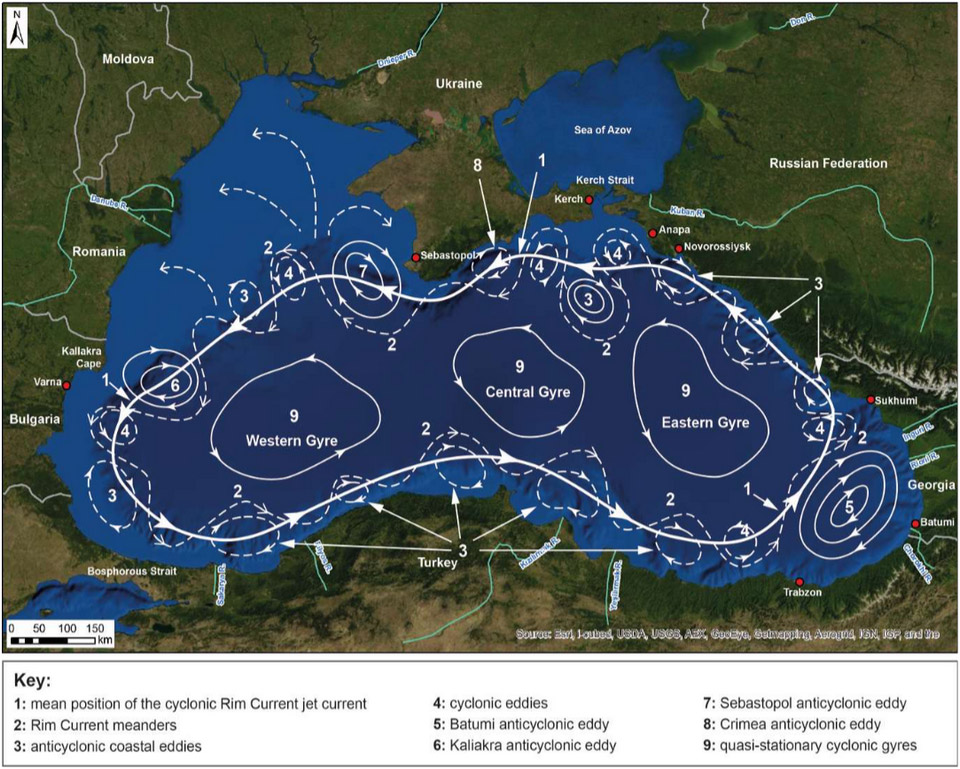 Map of the Black Sea using white arrows to reveal its circulation, a circular rim current circulates offshore corresponding to the change in depth from the shelf and basin areas (which are picked out in light and dark blue), three circular gyre systems are inside the central rim current, while numerous eddies can be picked out along the rim current's course as it interacts with the coast.