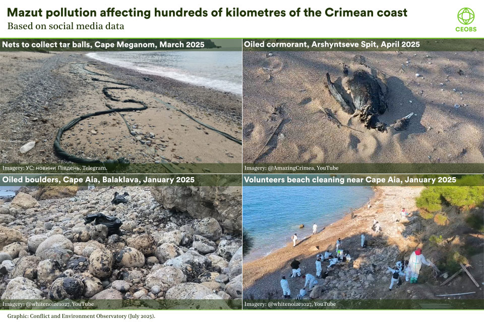 Visualisation, quartered into four images, clockwise from top left: 1) a sand and shingle beach, an undulating black rope can be seen below the high water mark and waters edge - a net used to collect tar balls; 2) Close up of a black dead cormorant lying half covered with sand on a beach; 3) a cove full of white and buff coloured boulders and cobbles, many of them are spattered with black oil; 4) A photo looking down onto a beach, the sea is blue but the beach is covered with around 18 people in white disposable suits, boots and gloves, they appear to be collecting and packaging oil.