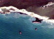 Satellite image of one of the wreck sites. Most of the image is the sea in shades or dark to mid blue, in the top right a coast line and white cliffs, in the far right of the image the lozenge like shape of a small tanker can be seen, just offshire, between it and the cliffs is a black slick of oil. Three smaller craft are offshore nearby.
