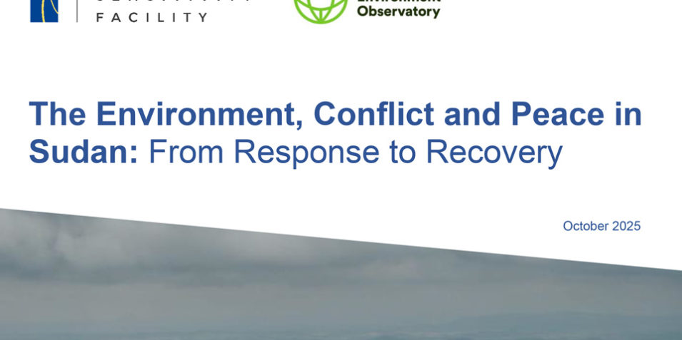 cover_960 Top half of the cover of the report, org logos, title and part of an aerial image of the Sudanese landscape.