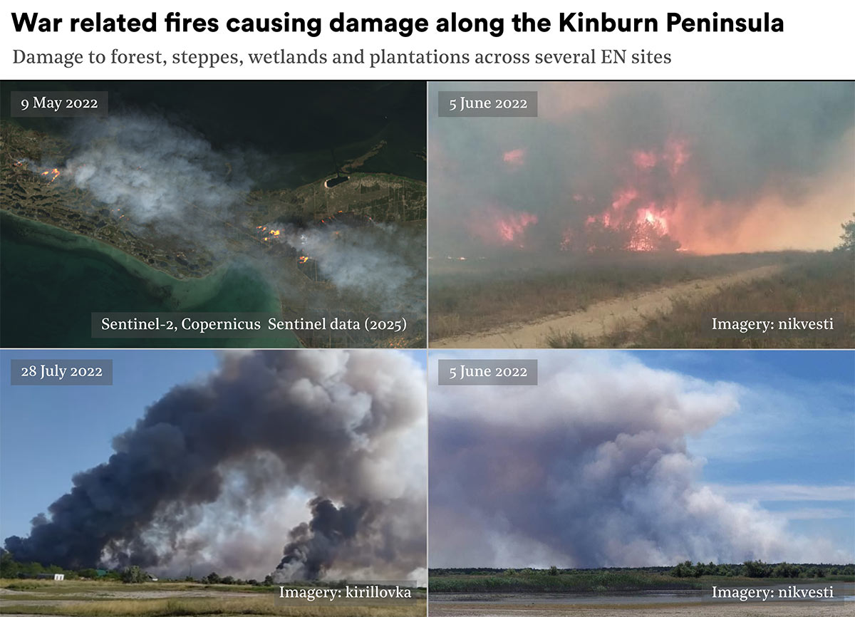 A montage of 4 images of forest fires on the Kinburn Peninsula. One is a satellite image dated May 2022, the other 3 are ground level shots from social media taken between June-July 2022 showing substantial fires and smoke plumes from landscape fires.