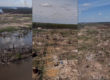 A montage of three drone photos of parts of the Lower Dnipro National Nature Park subject to heavy fighting. All show bare earth, scorched and vegetation reduced to stumps and destroyed buildings.