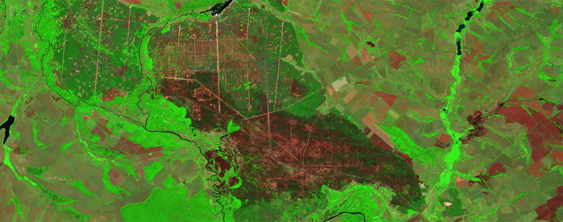 The landscape in this SWIR image shows up as tones from bright green (healthy vegetation) to russet brown, an area in the centre of the image shows a large area of dark russets and greens.