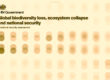 a faded orange background, text reads Global biodiversity loss, ecosystem collapse and national security A national security assessment, rows of different shaded pairs of circles partially overlap