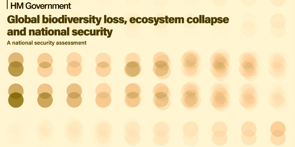 a faded orange background, text reads Global biodiversity loss, ecosystem collapse and national security A national security assessment, rows of different shaded pairs of circles partially overlap