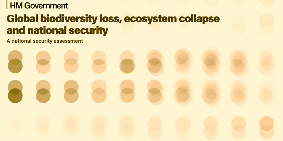 UK_nature_risk_assesment2_960 a faded orange background, text reads Global biodiversity loss, ecosystem collapse and national security A national security assessment, rows of different shaded pairs of circles partially overlap